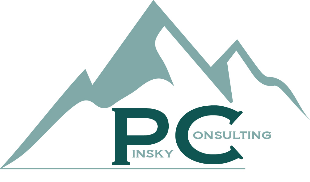 Avi Pinsky financial data for business growth Logo